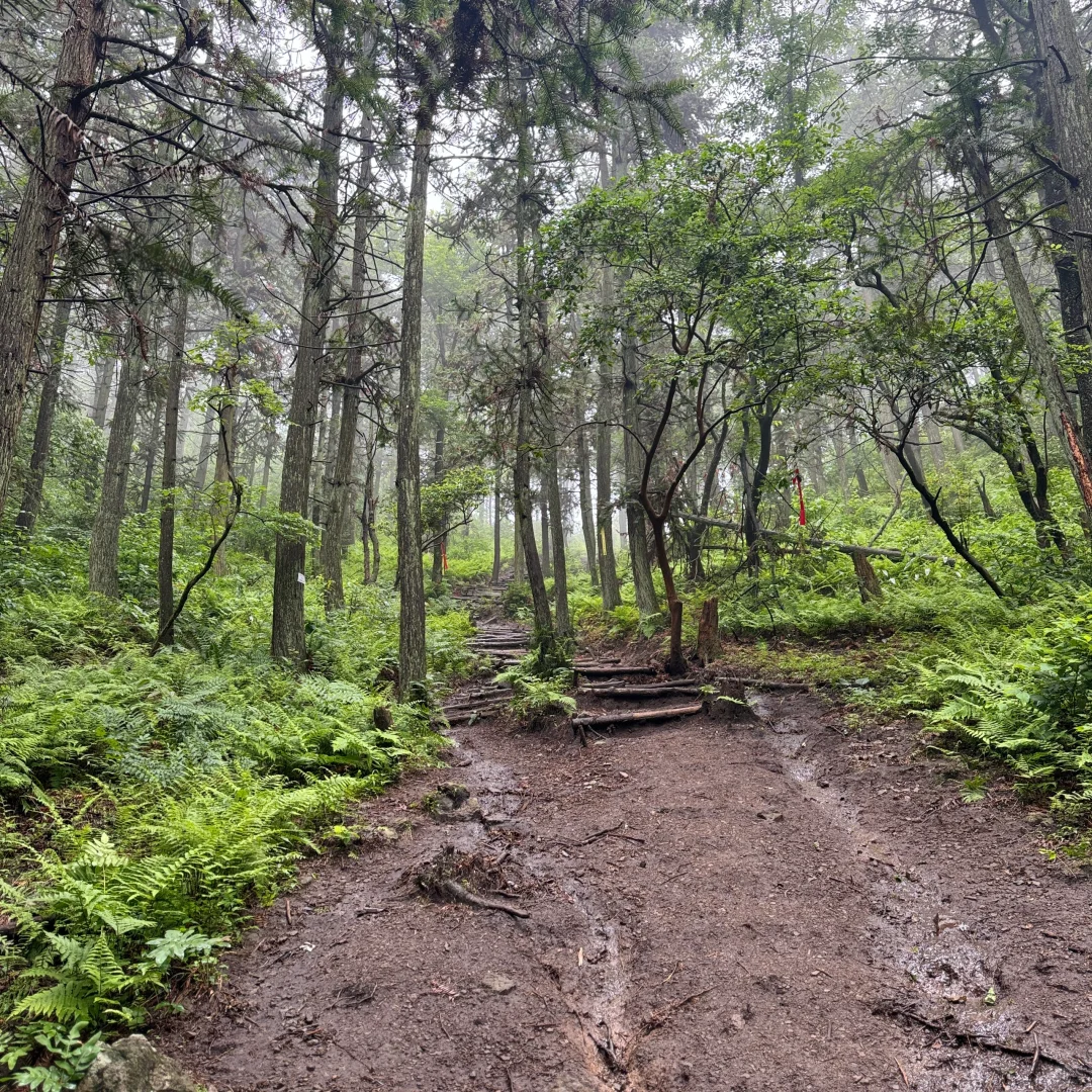 强烈建议上午在下雨下午就去徒步‼️
