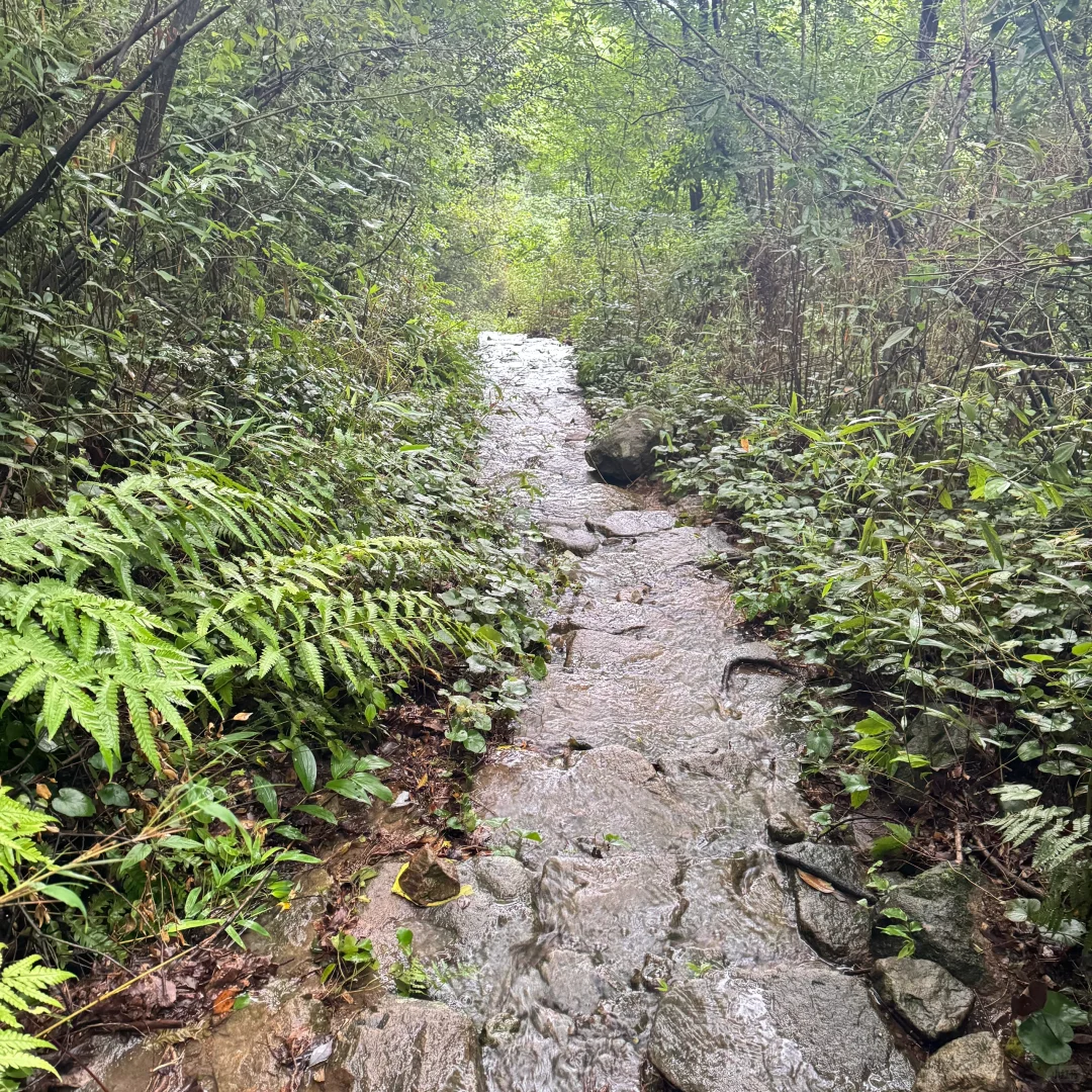 强烈建议上午在下雨下午就去徒步‼️