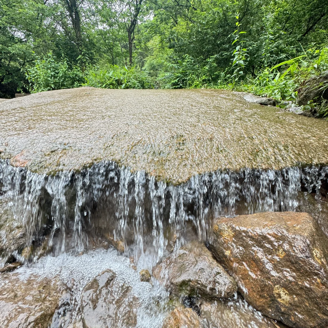 强烈建议上午在下雨下午就去徒步‼️