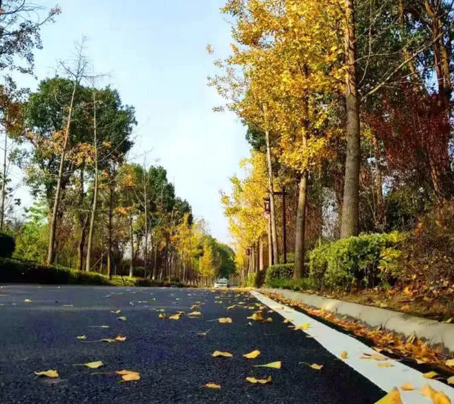 武汉周边小众秘境！