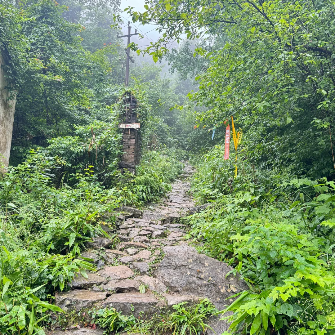 强烈建议上午在下雨下午就去徒步‼️