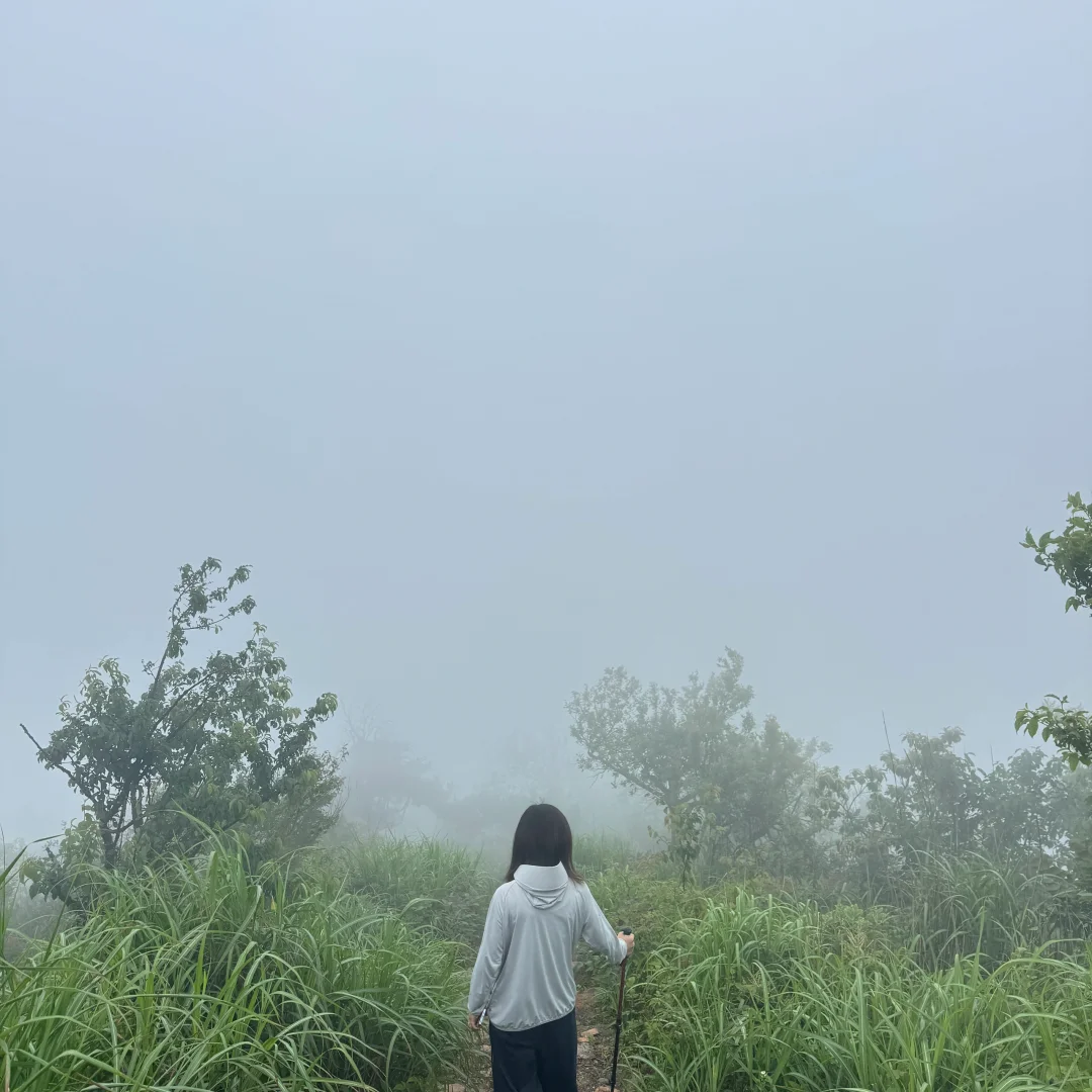 强烈建议上午在下雨下午就去徒步‼️