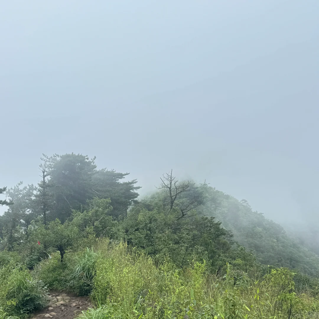 强烈建议上午在下雨下午就去徒步‼️