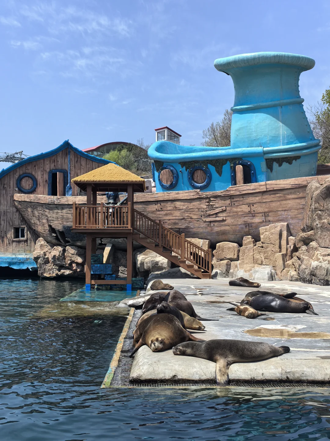 和我的小旅游搭子在大连