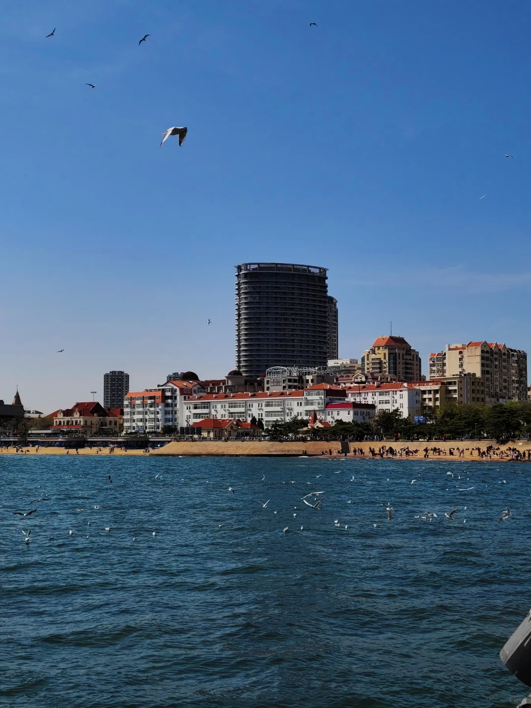 于是，我爱上了「青岛」…