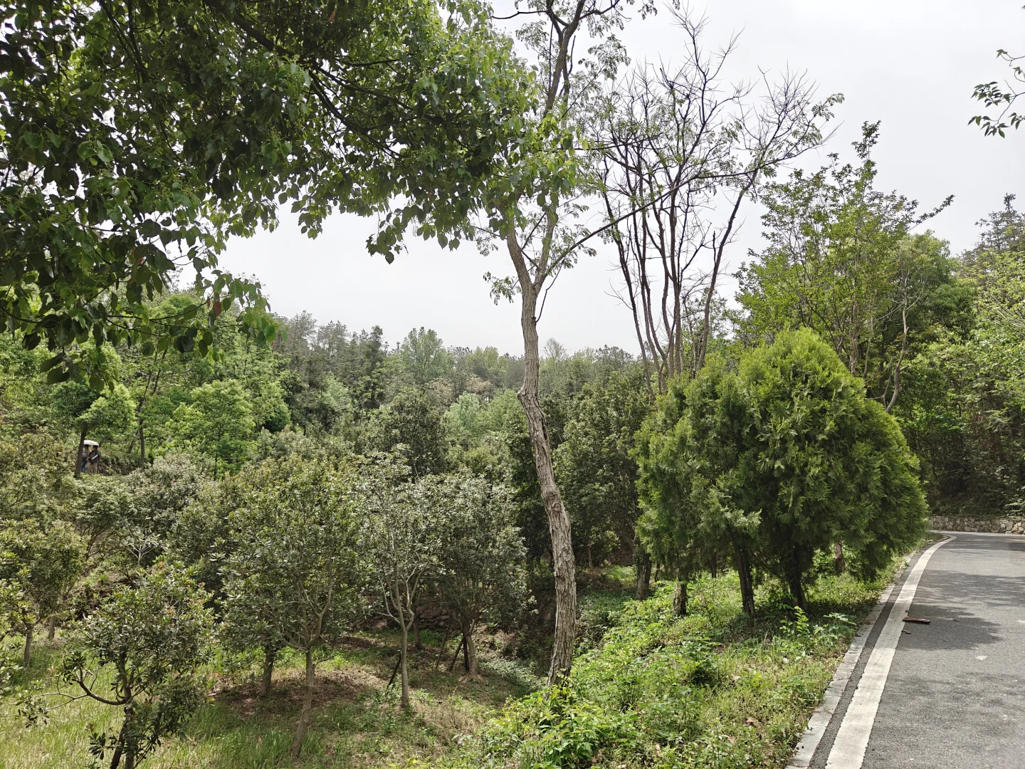 武汉周边小众秘境！