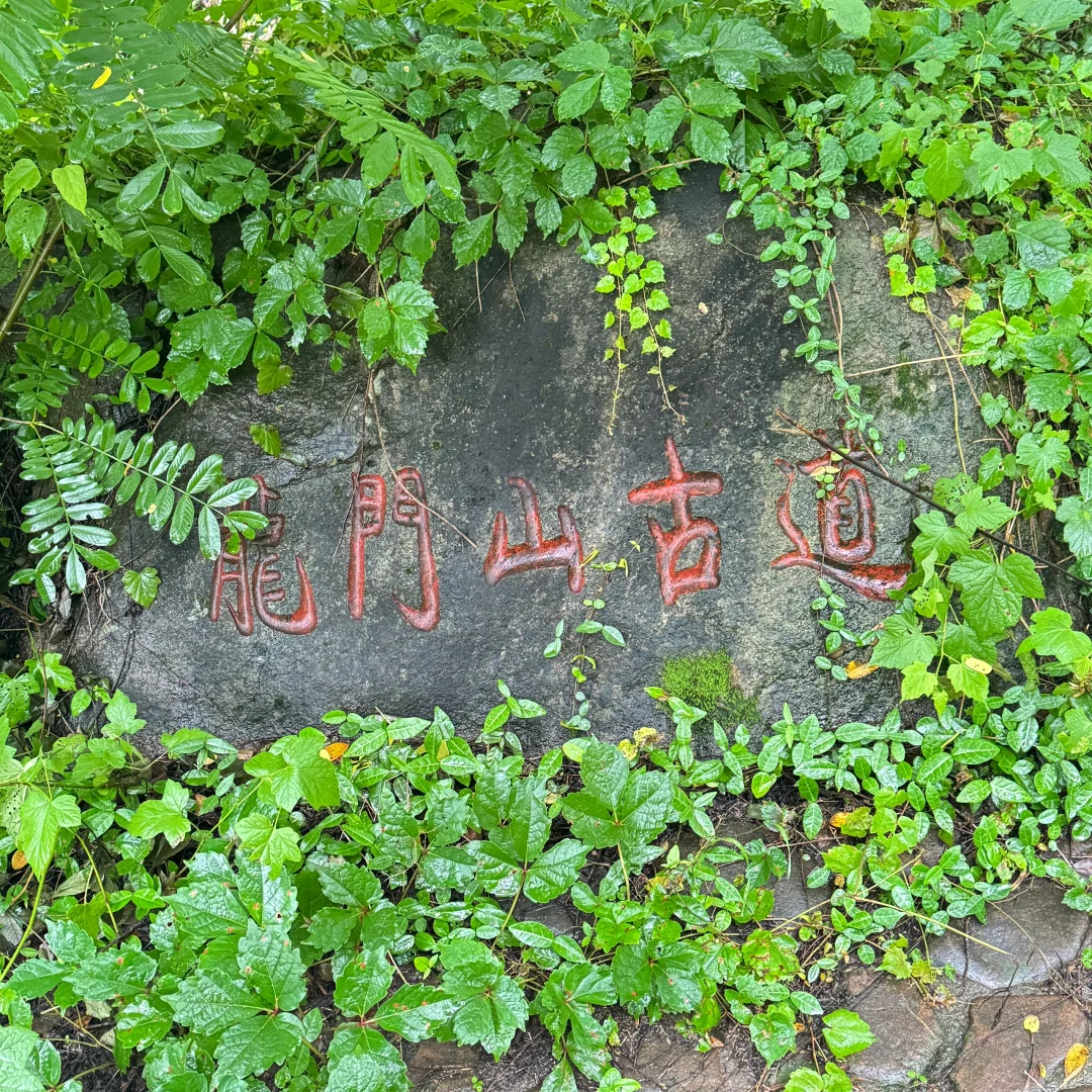 强烈建议上午在下雨下午就去徒步‼️