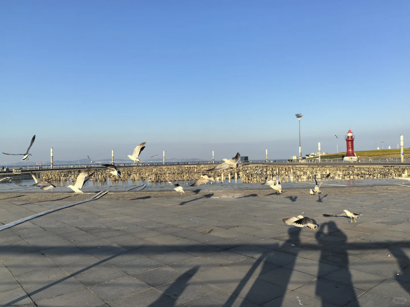 和我的小旅游搭子在大连