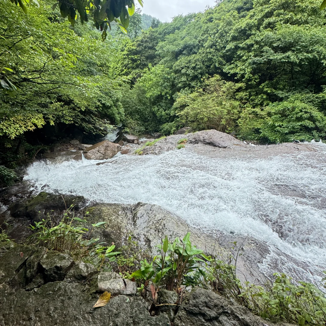 强烈建议上午在下雨下午就去徒步‼️