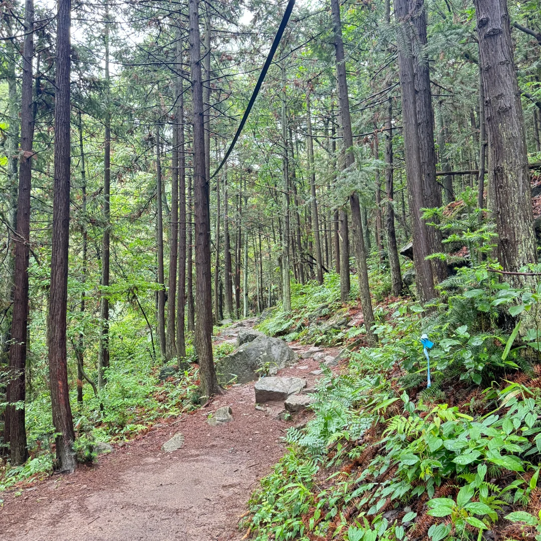 强烈建议上午在下雨下午就去徒步‼️