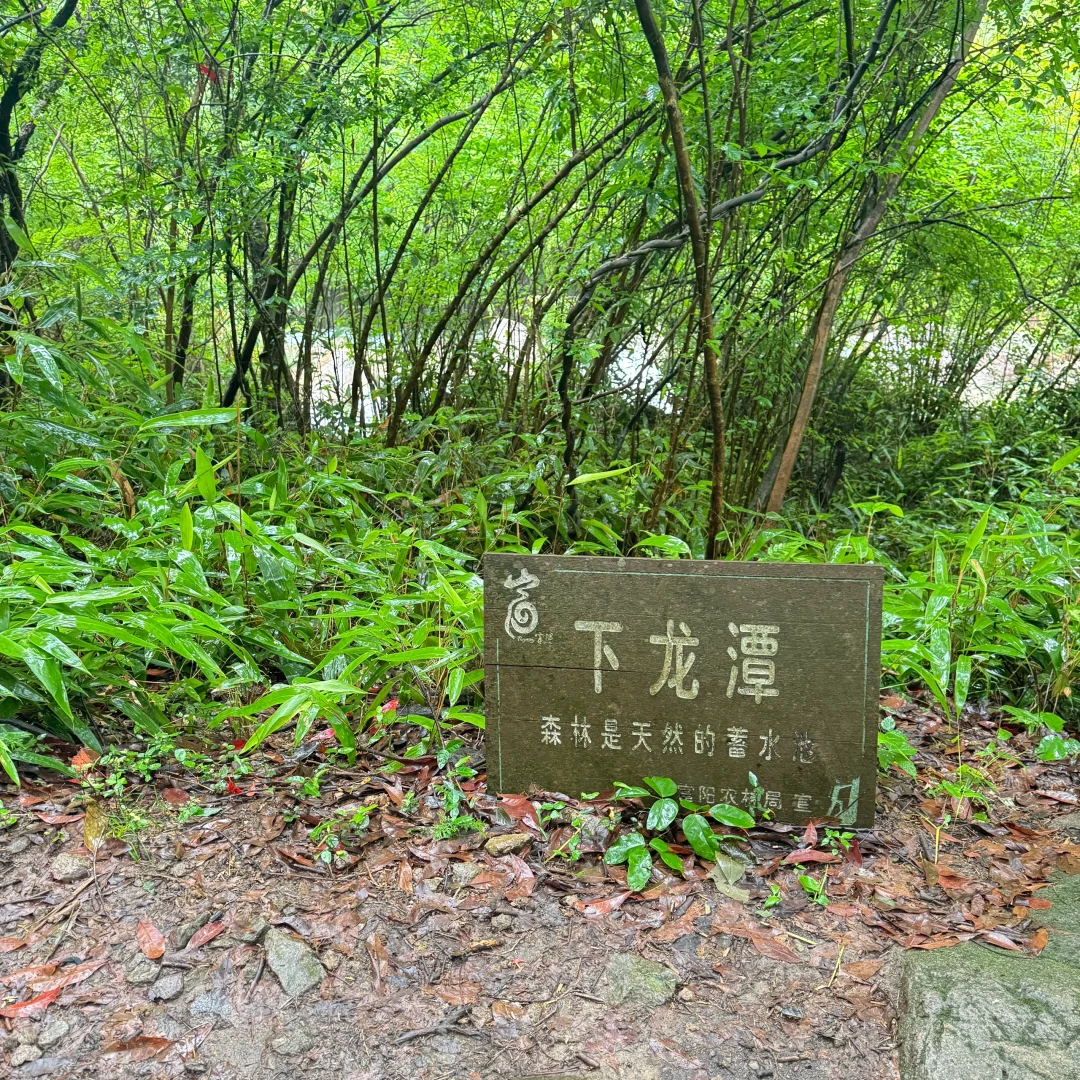 强烈建议上午在下雨下午就去徒步‼️