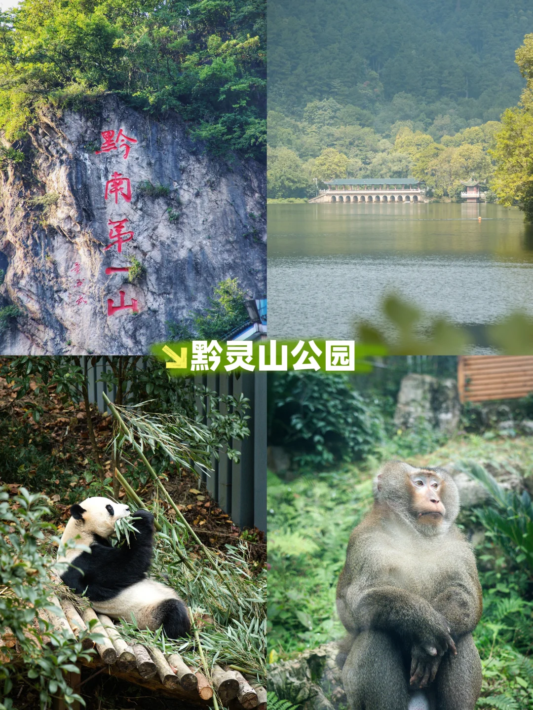 高考生看过来‼️贵阳这些景区景点，直接冲