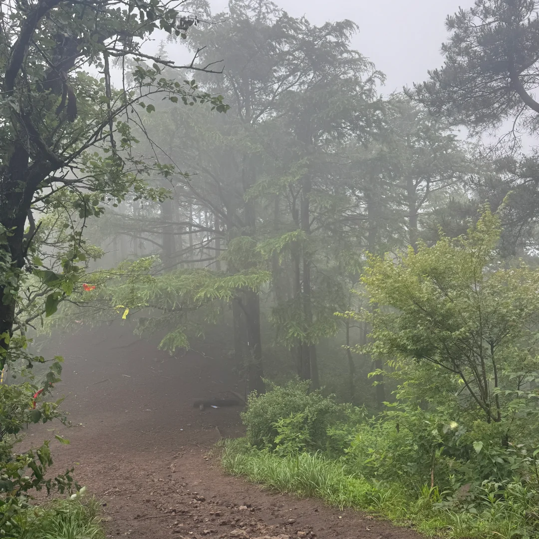 强烈建议上午在下雨下午就去徒步‼️