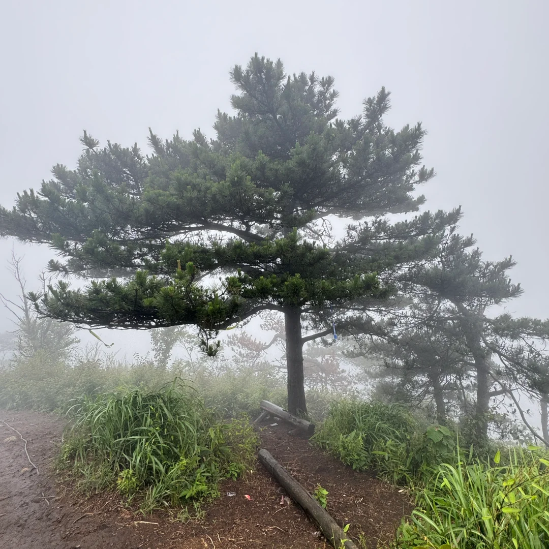 强烈建议上午在下雨下午就去徒步‼️