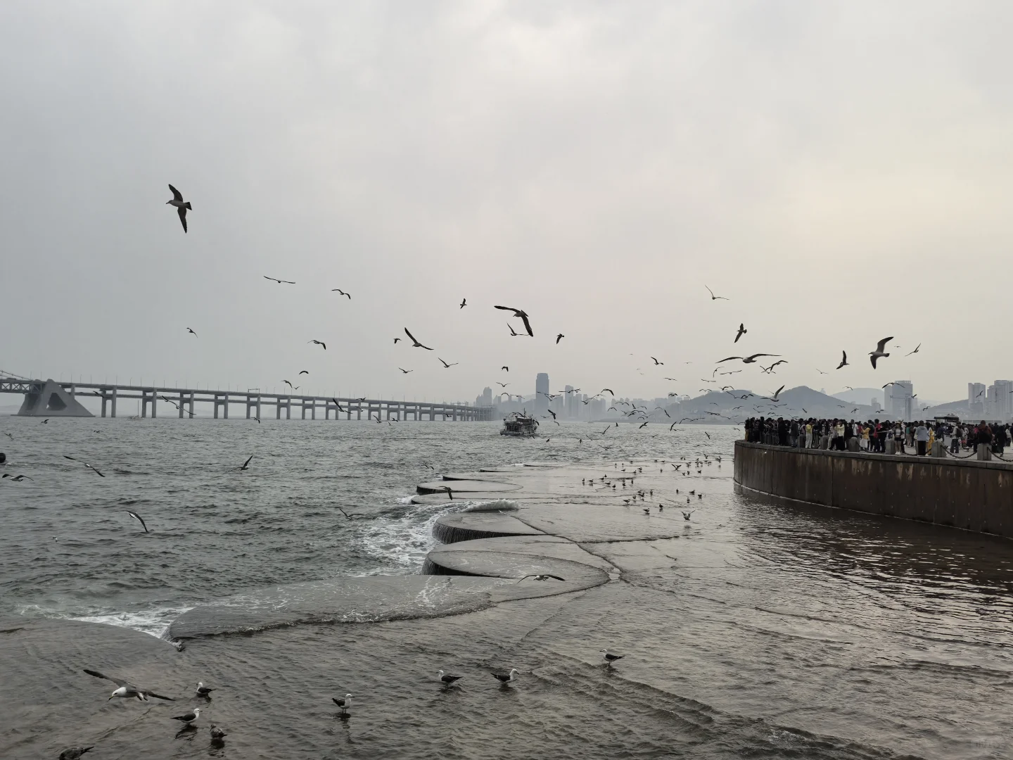 和我的小旅游搭子在大连