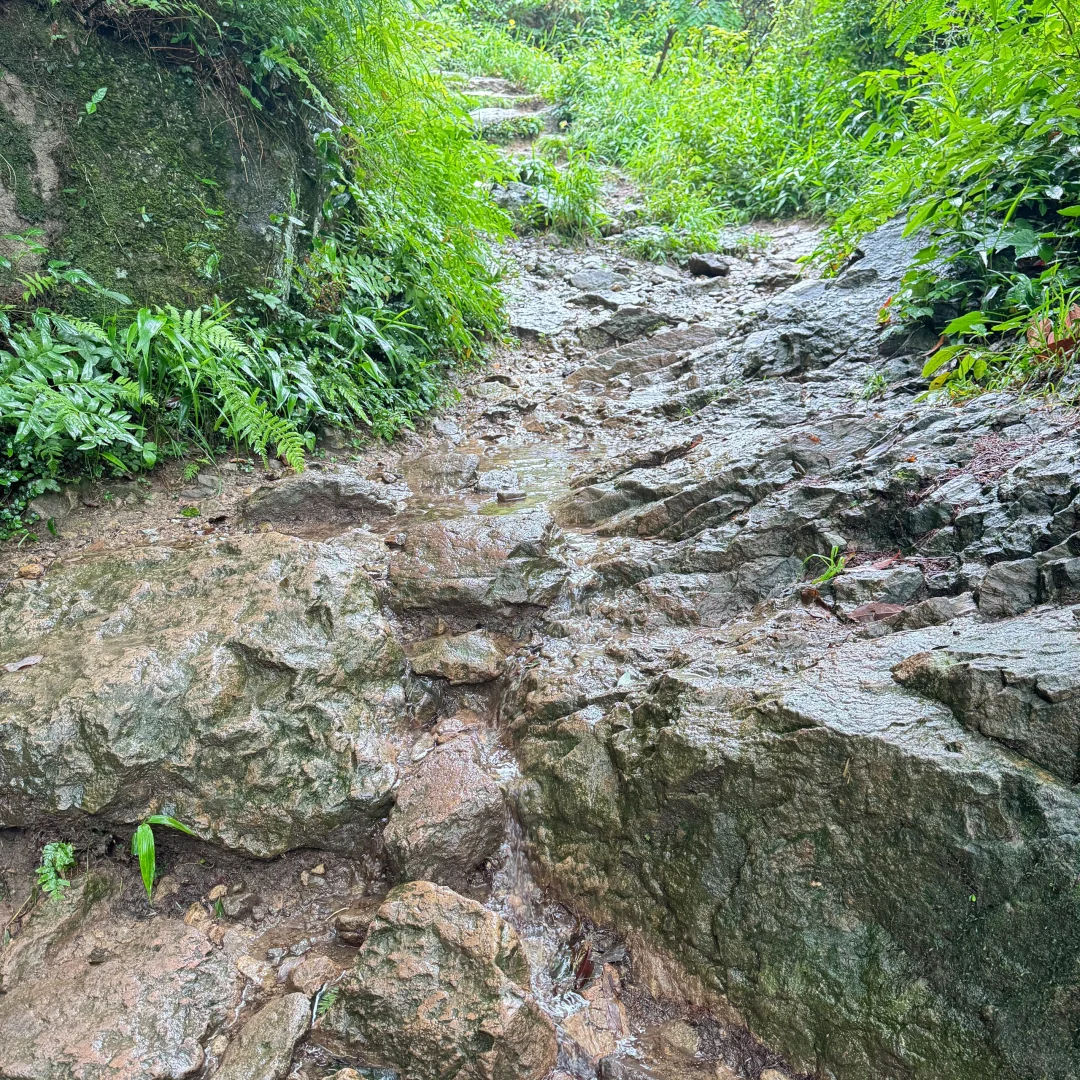 强烈建议上午在下雨下午就去徒步‼️