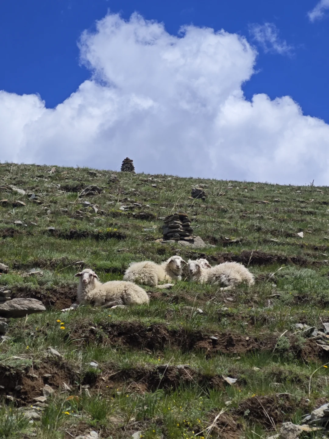 内蒙呼和极限三日游景点