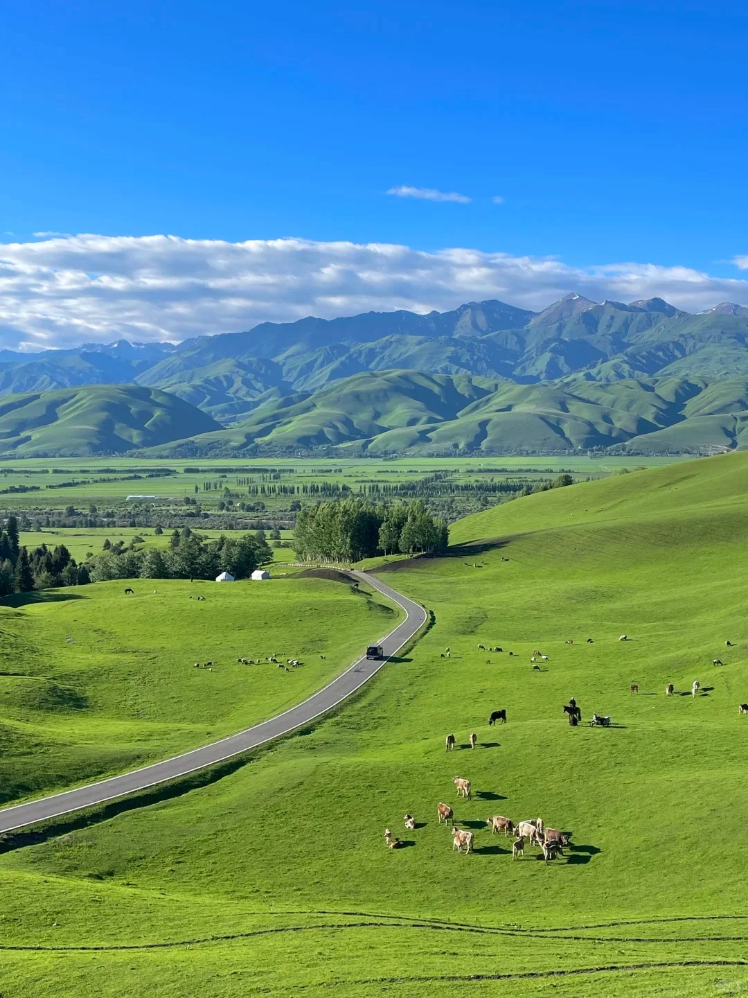 🌲 那拉提草原|童话世界の正确打开方式