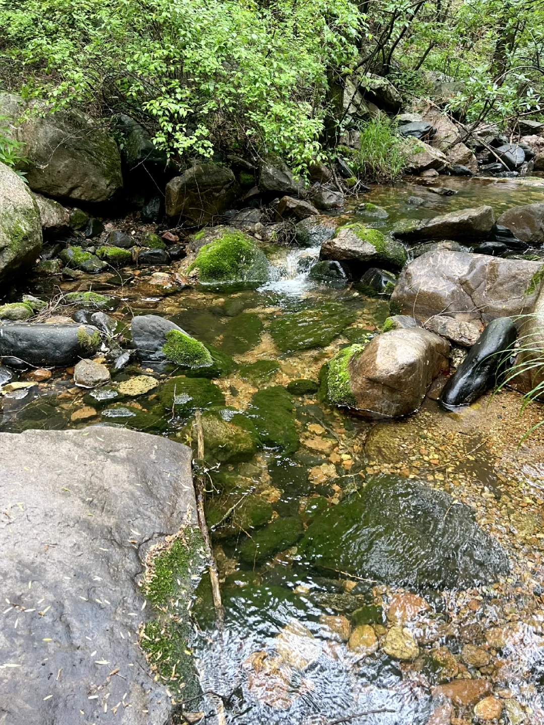 石家庄还有这种神仙景点，爬山，溯溪，露营