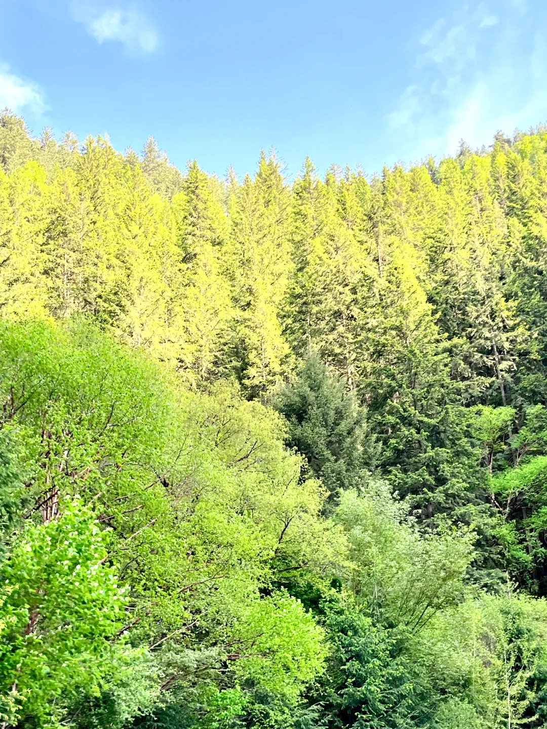 旅游景点毕业季！🎓