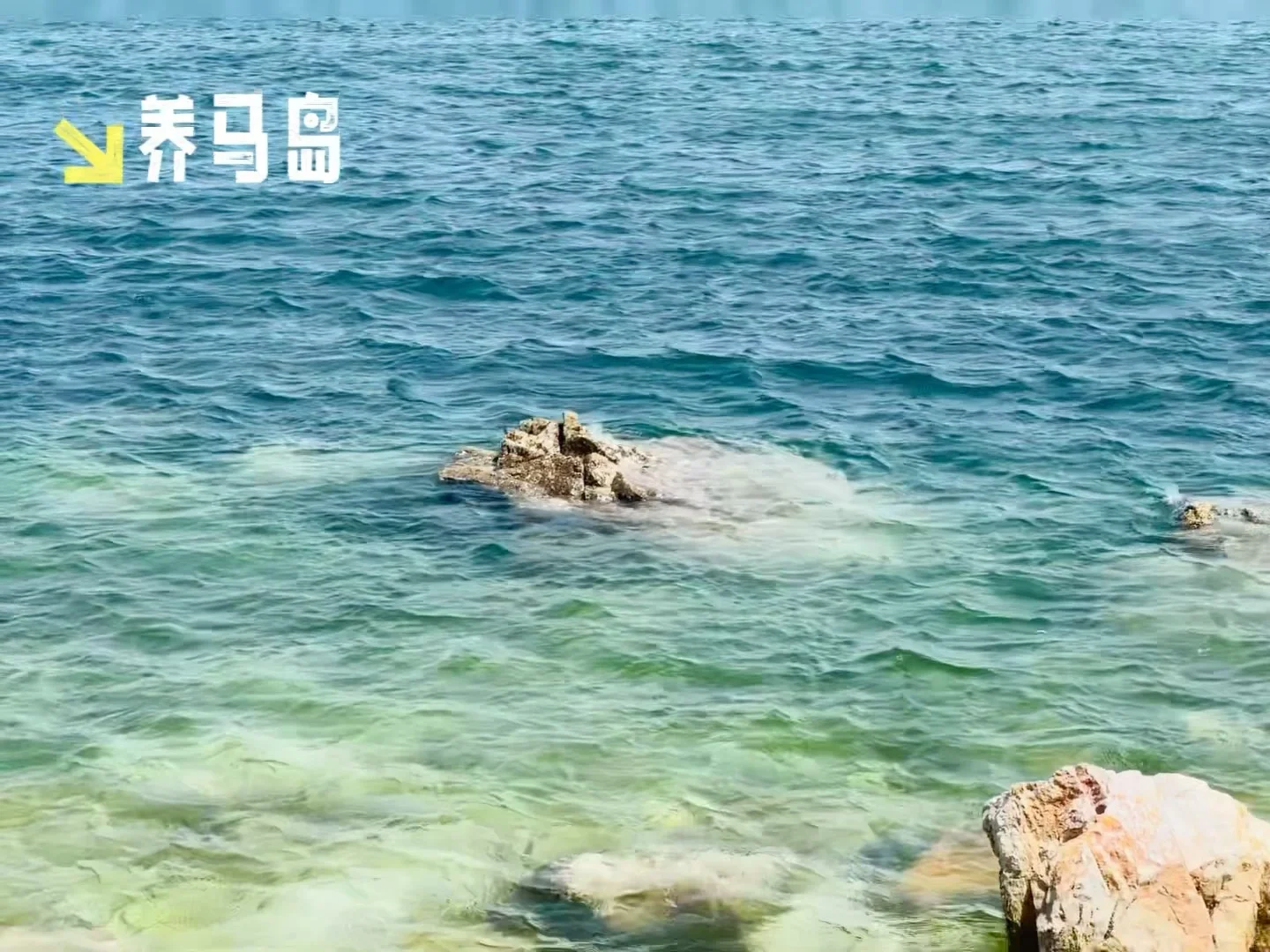 山东5天4晚｜青岛+烟台｜人均2.1k｜超详细攻略