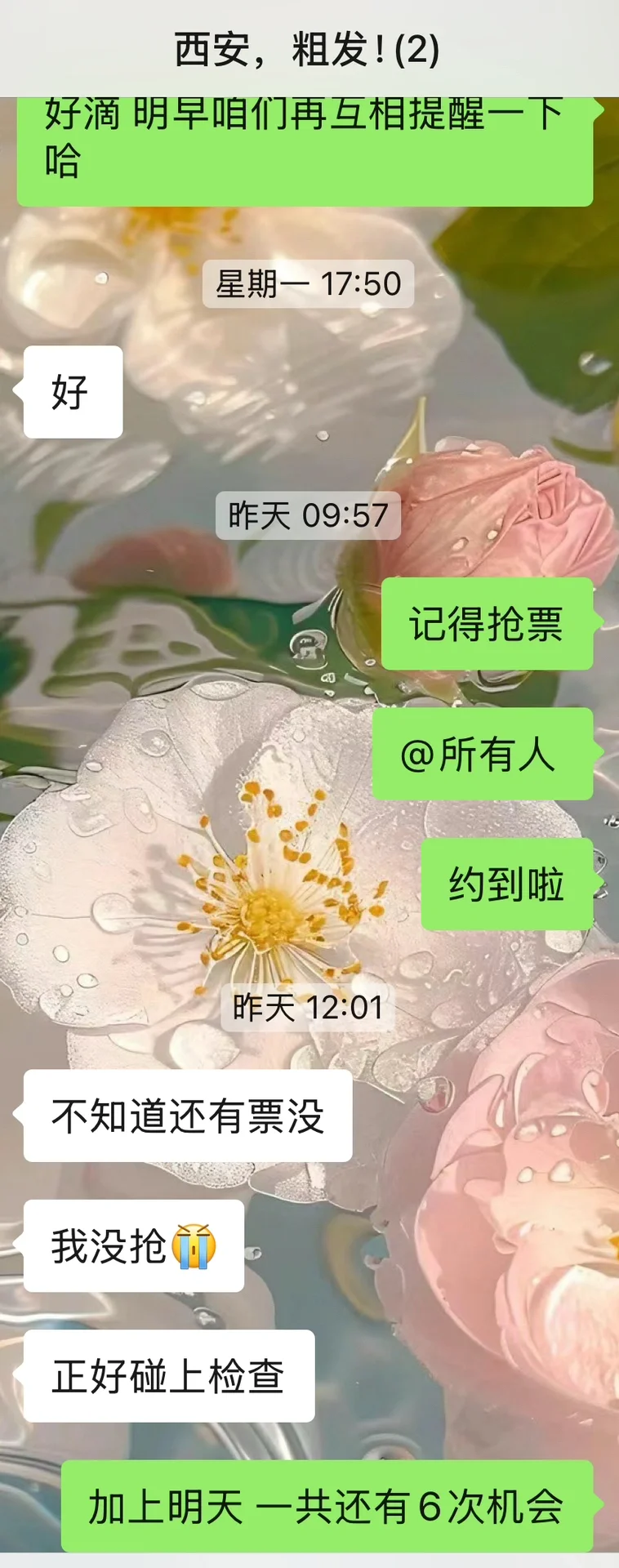 不要随便找旅行搭子