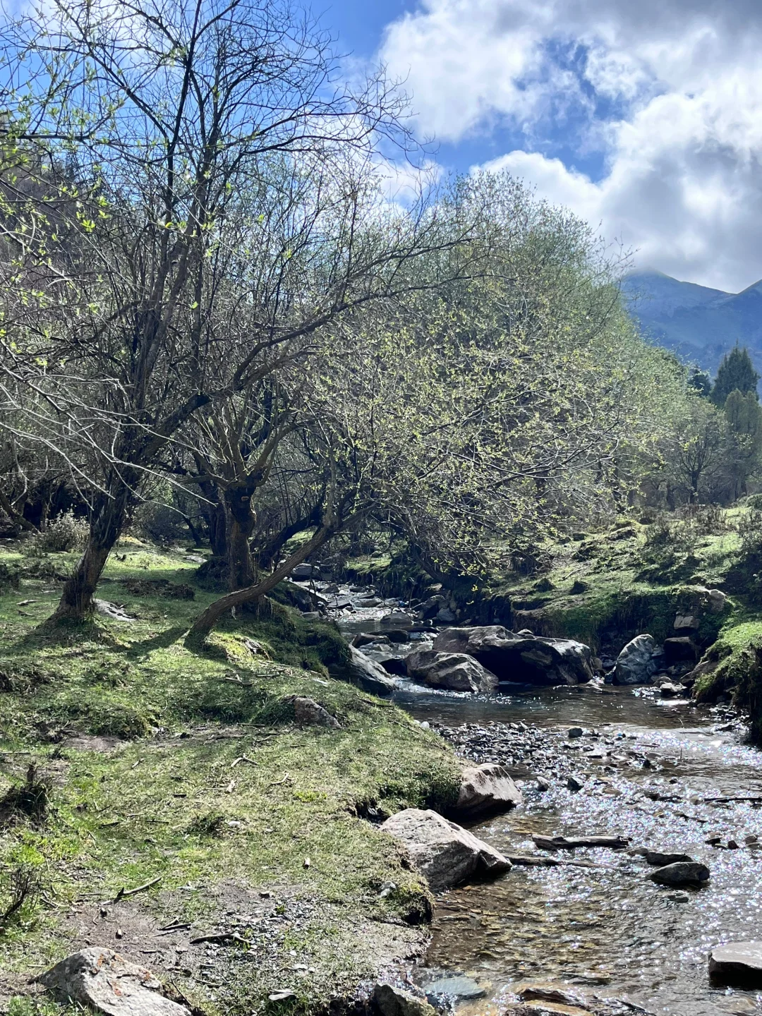 旅游景点毕业季！🎓