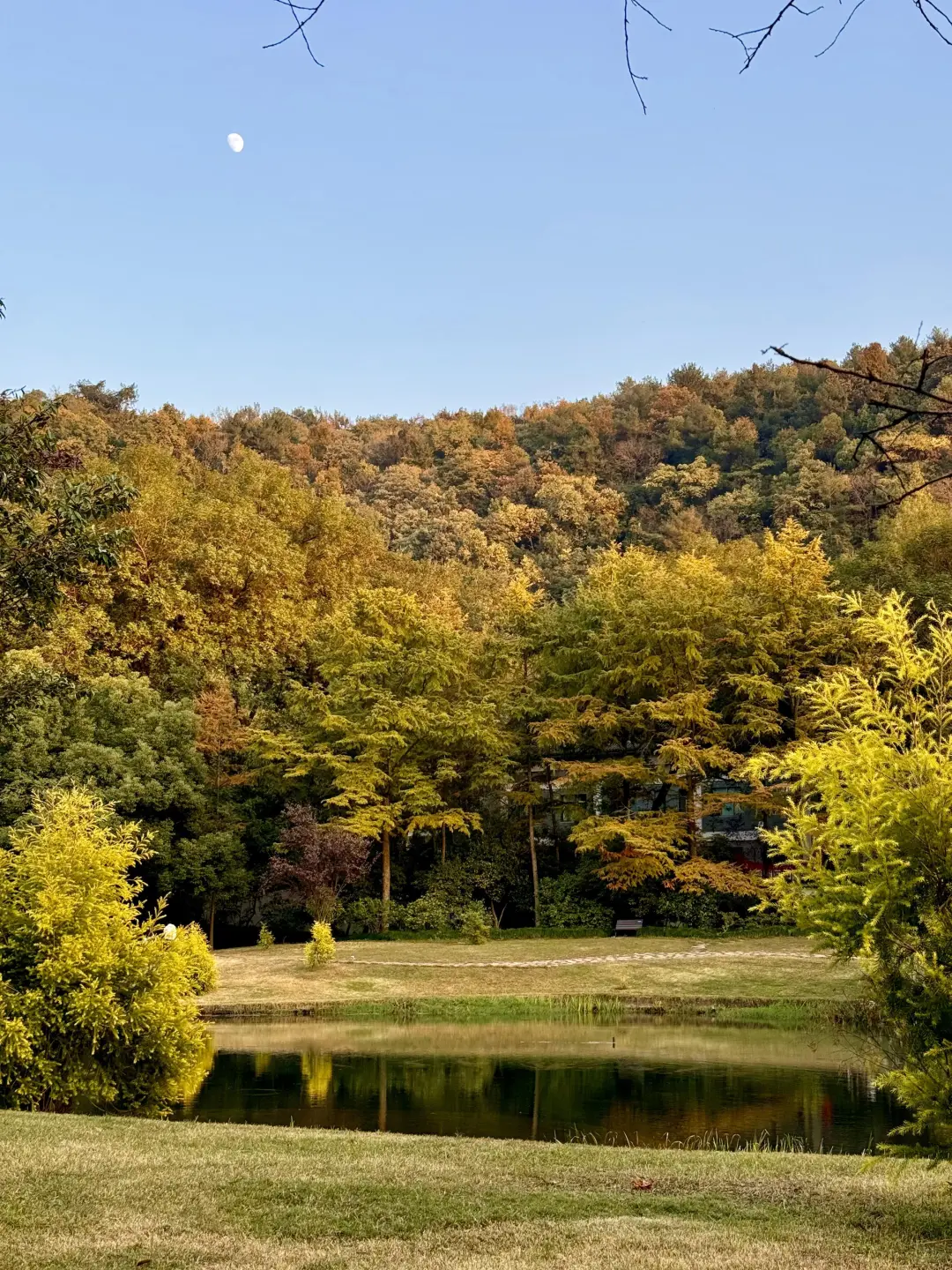 杭州行，总要吹一吹西湖那温柔的晚风吧～