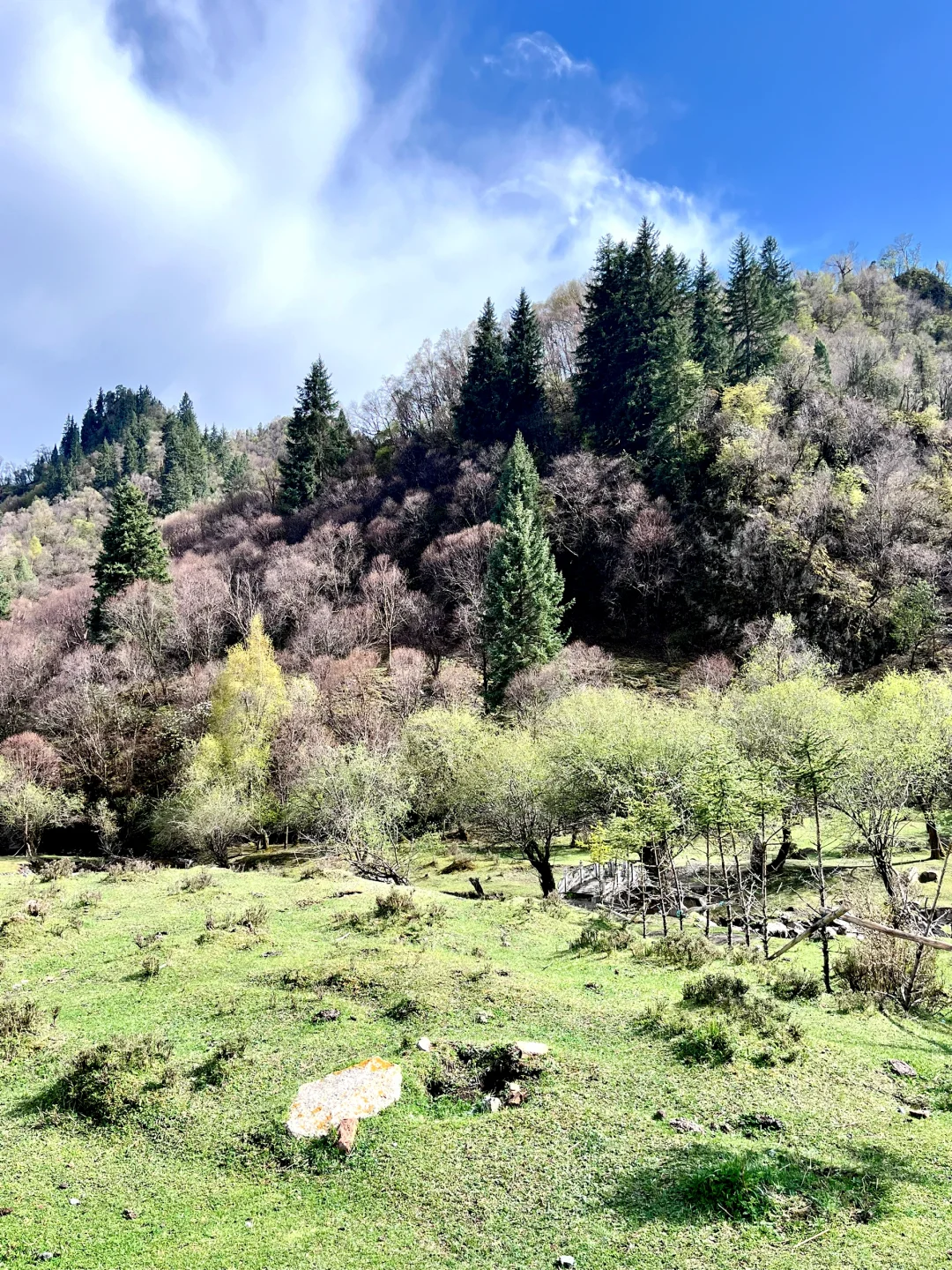 旅游景点毕业季！🎓