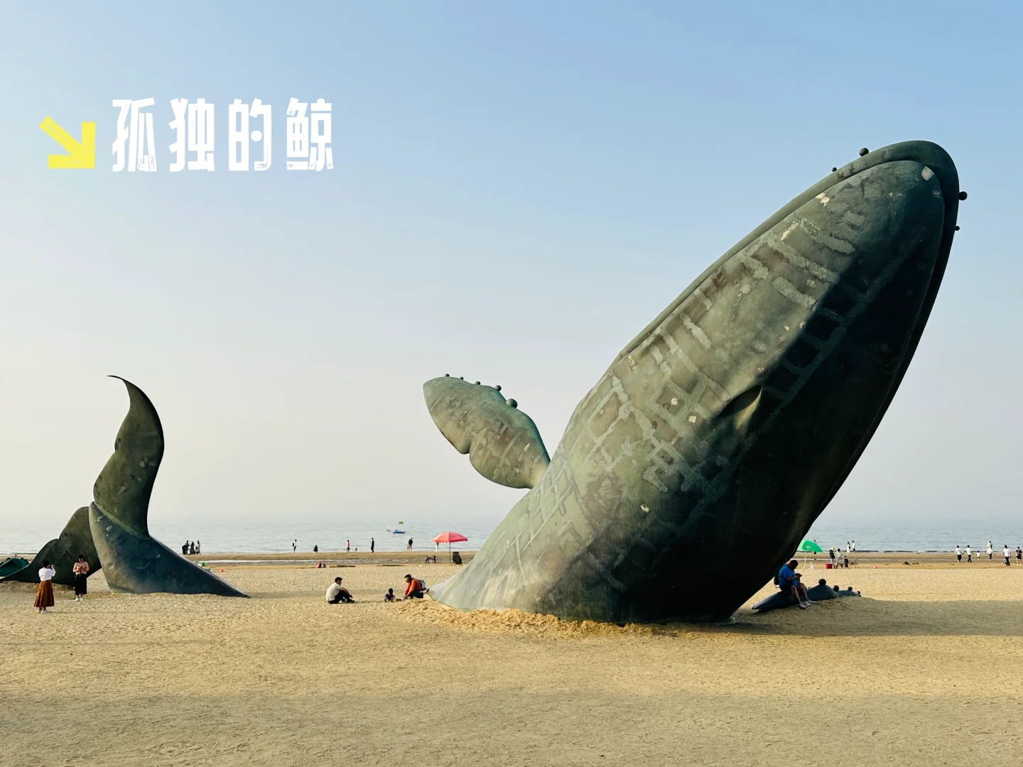 山东5天4晚｜青岛+烟台｜人均2.1k｜超详细攻略