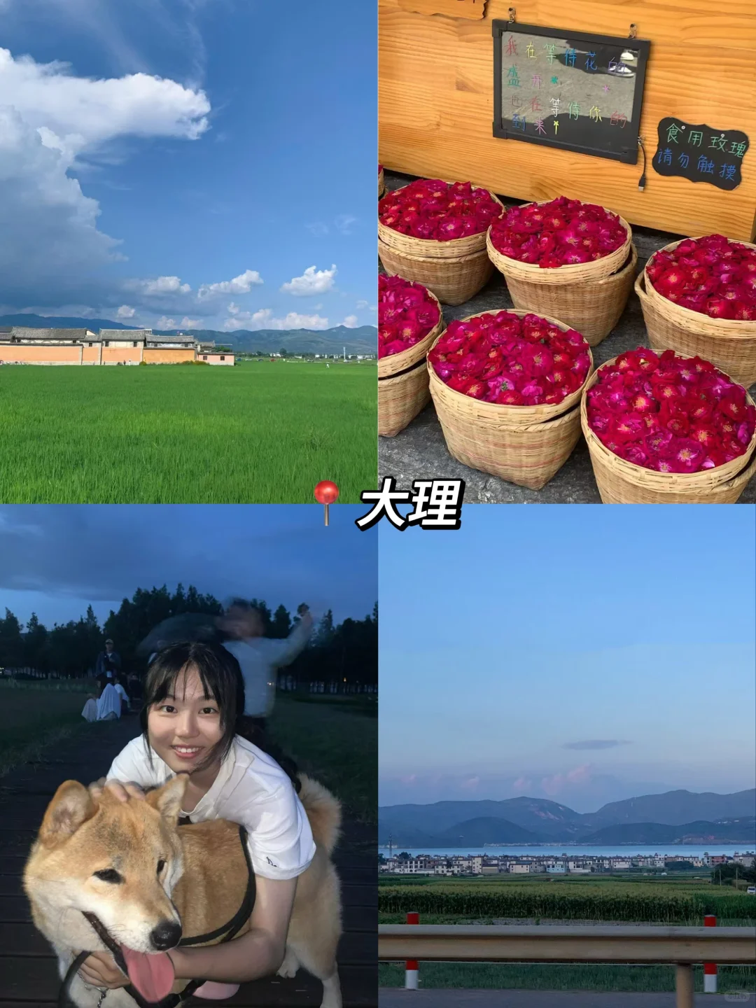 给高考生的穷游城市推荐🧾｜附预算