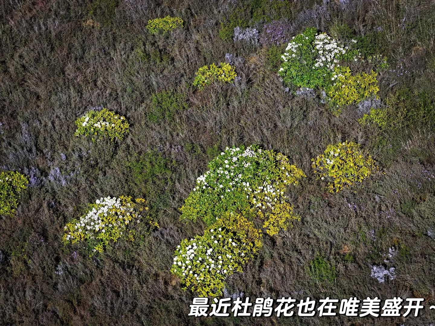 旅游景点毕业季！🎓