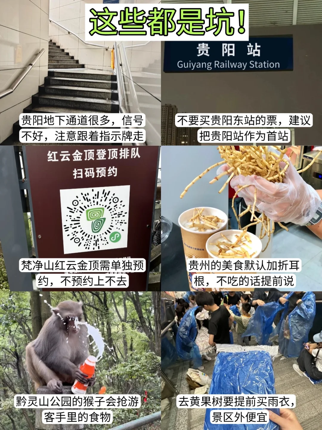 6月份计划去贵州旅游的姐妹听劝！