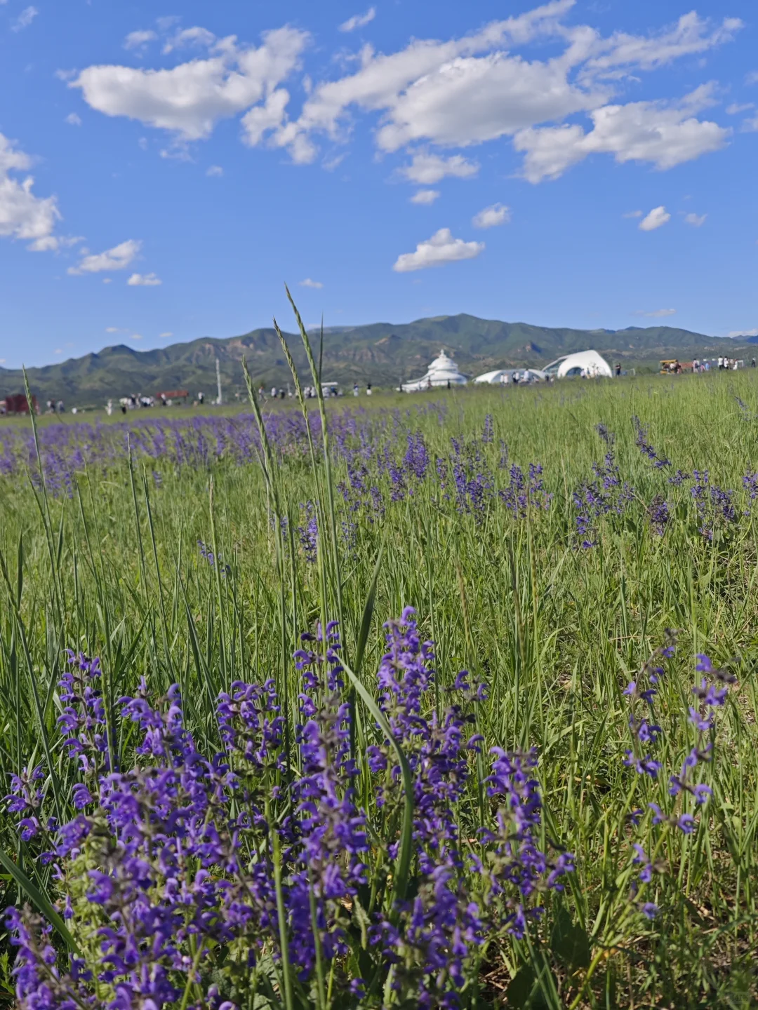 内蒙呼和极限三日游景点