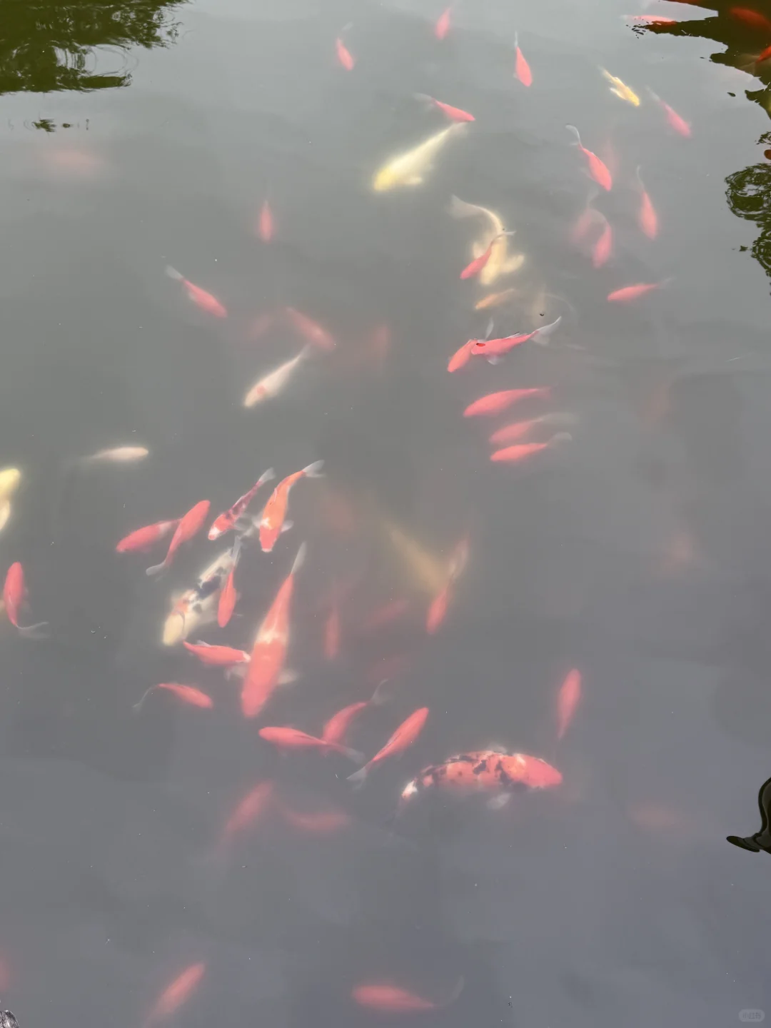 03女大📍扬州/两天一夜详细版旅游攻略‼️