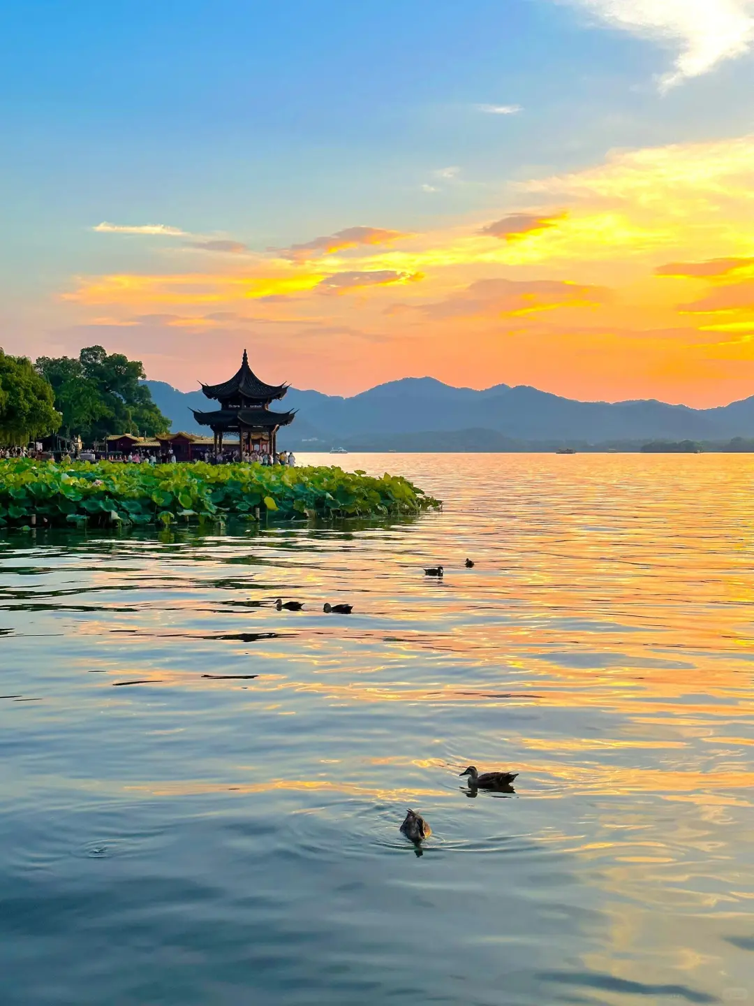 杭州行，总要吹一吹西湖那温柔的晚风吧～