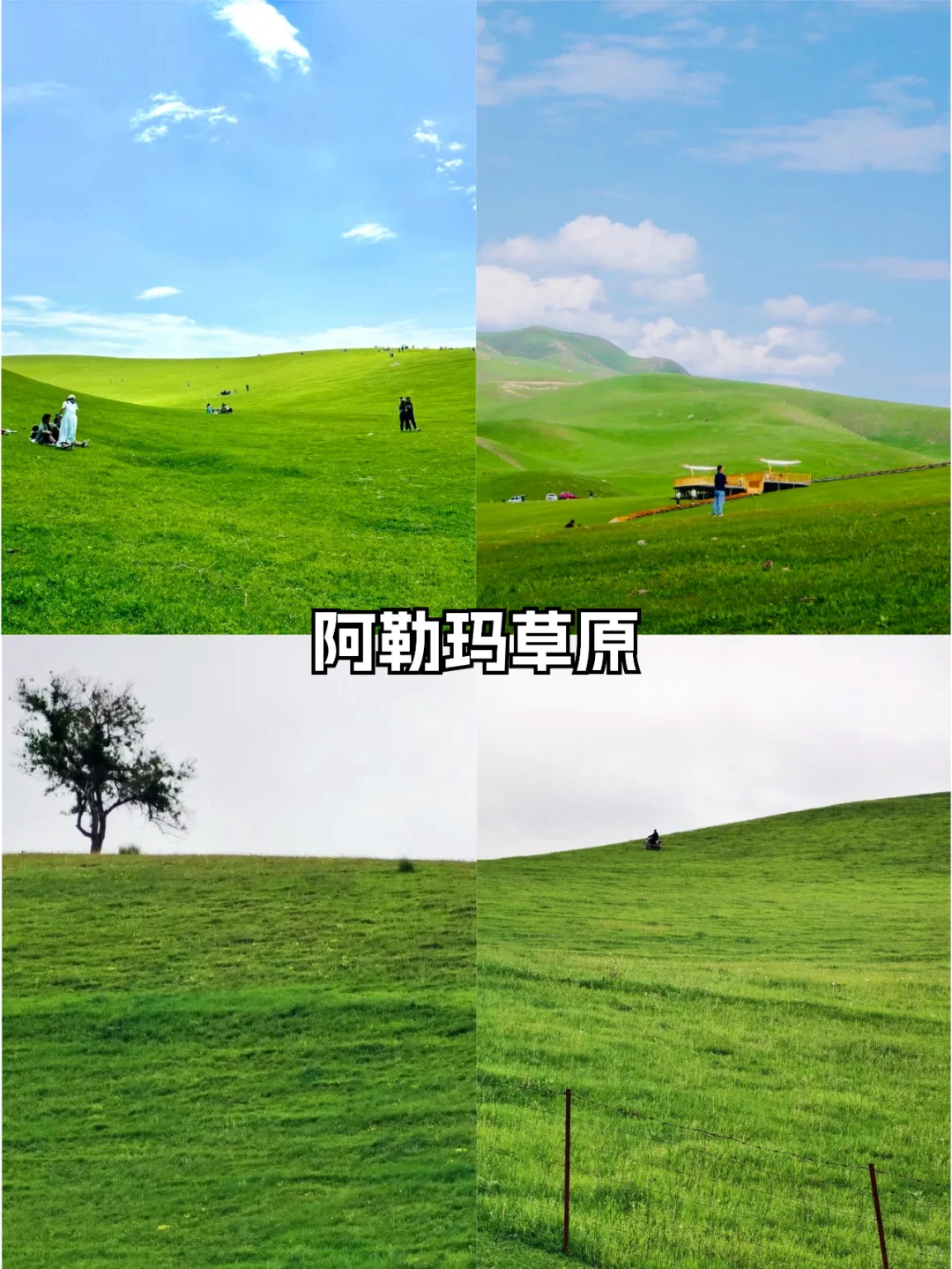 新疆旅游🌆伊宁必打卡的 9 大景点✨