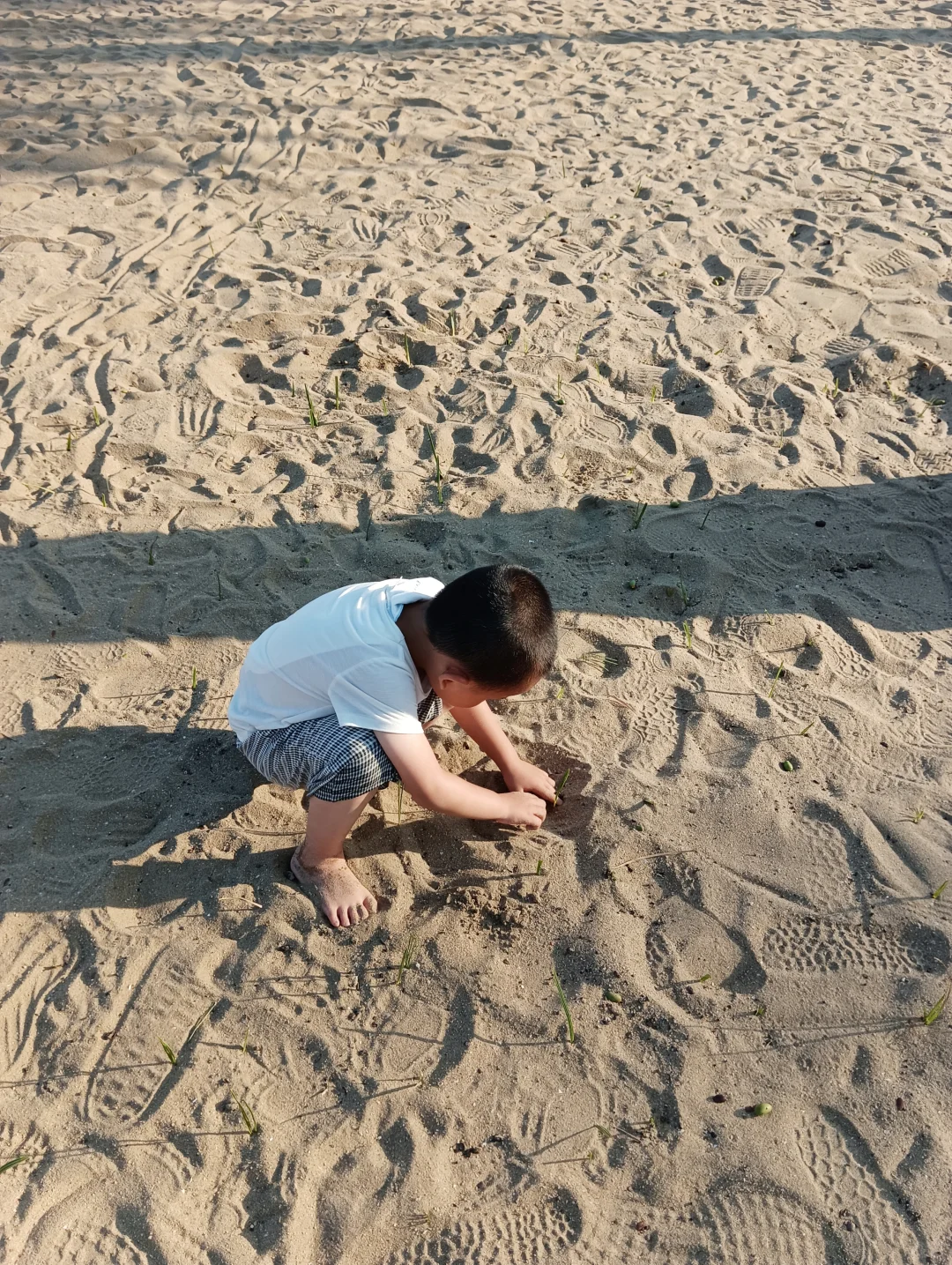 厦门旅游年卡第7站：鼓浪屿一日游