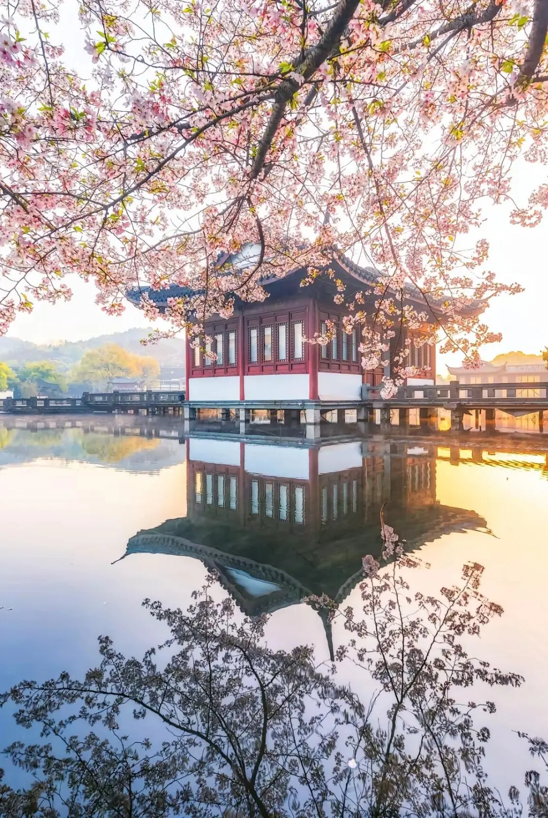 杭州行，总要吹一吹西湖那温柔的晚风吧～