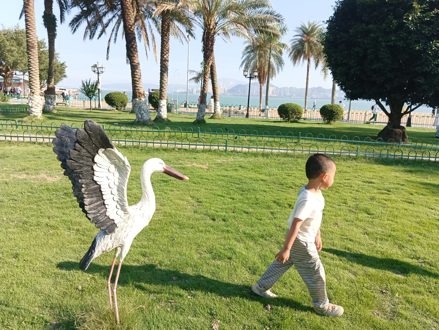 厦门旅游年卡第7站：鼓浪屿一日游