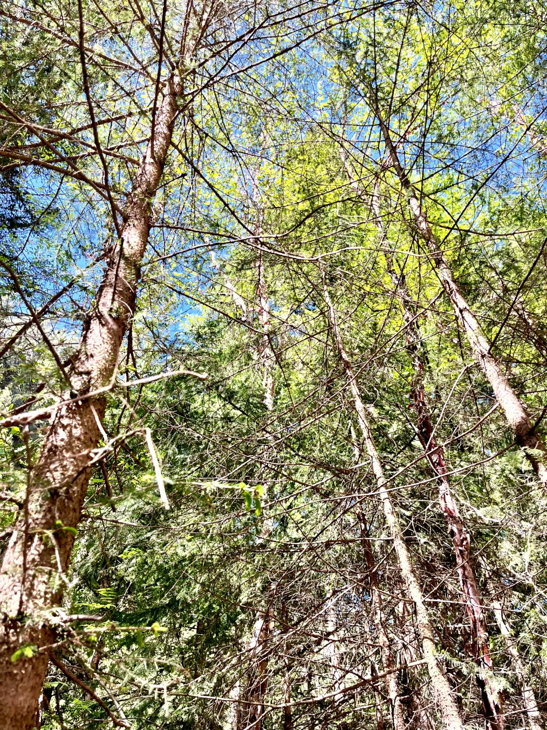 旅游景点毕业季！🎓