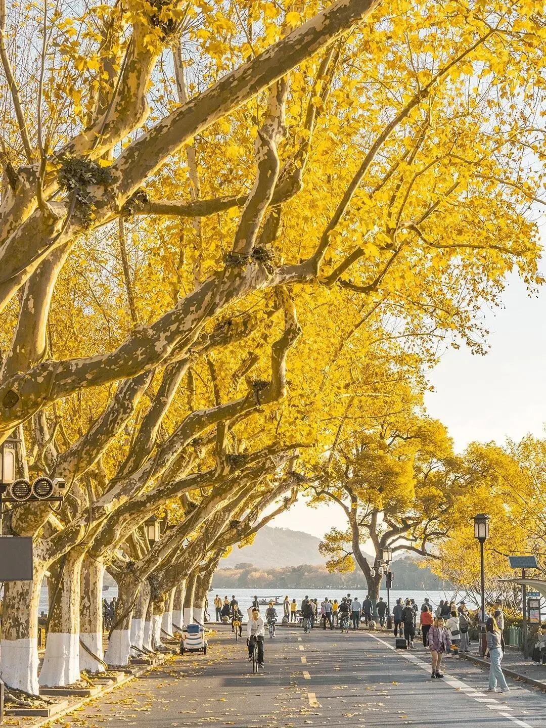 杭州行，总要吹一吹西湖那温柔的晚风吧～