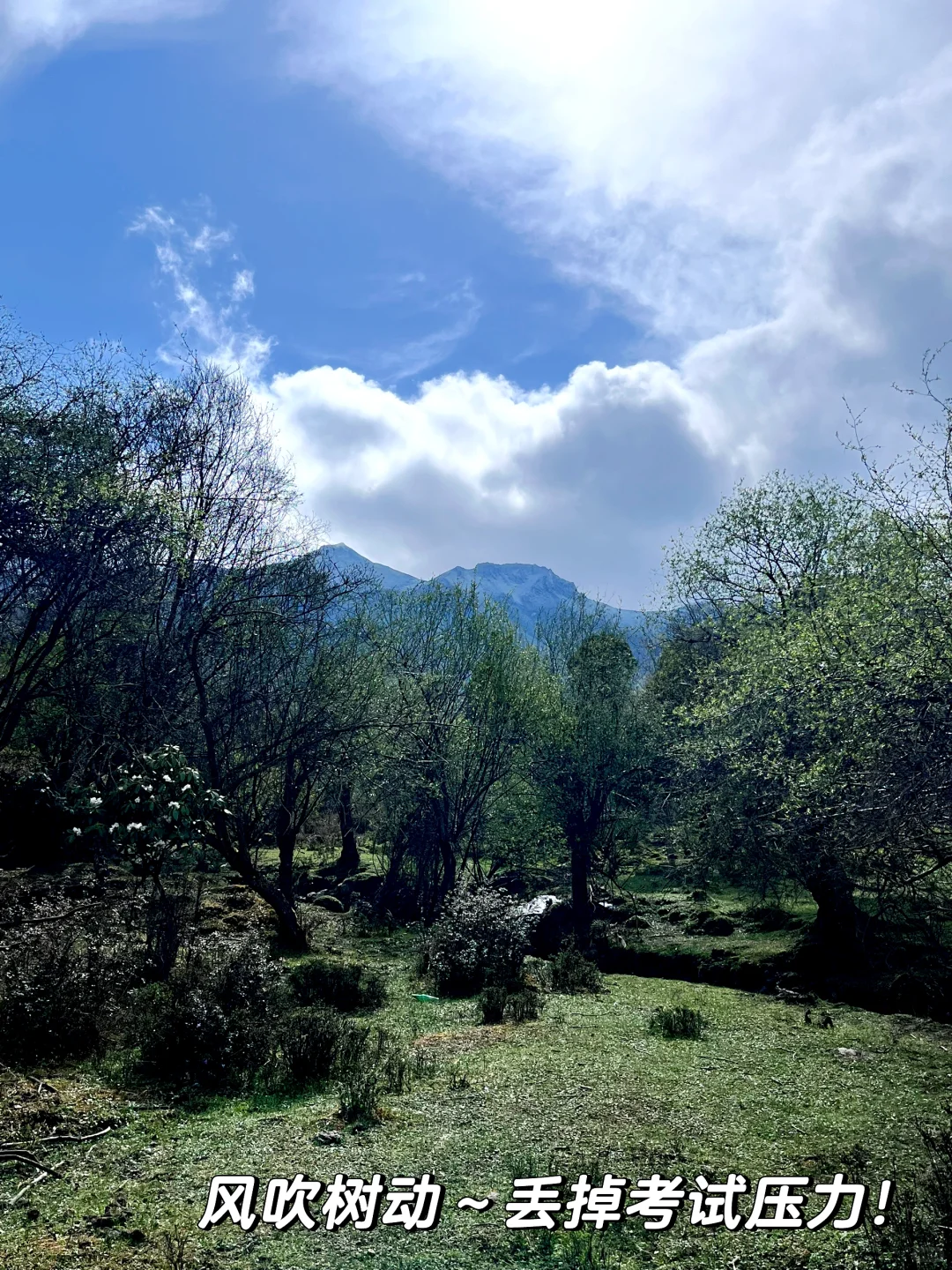 旅游景点毕业季！🎓