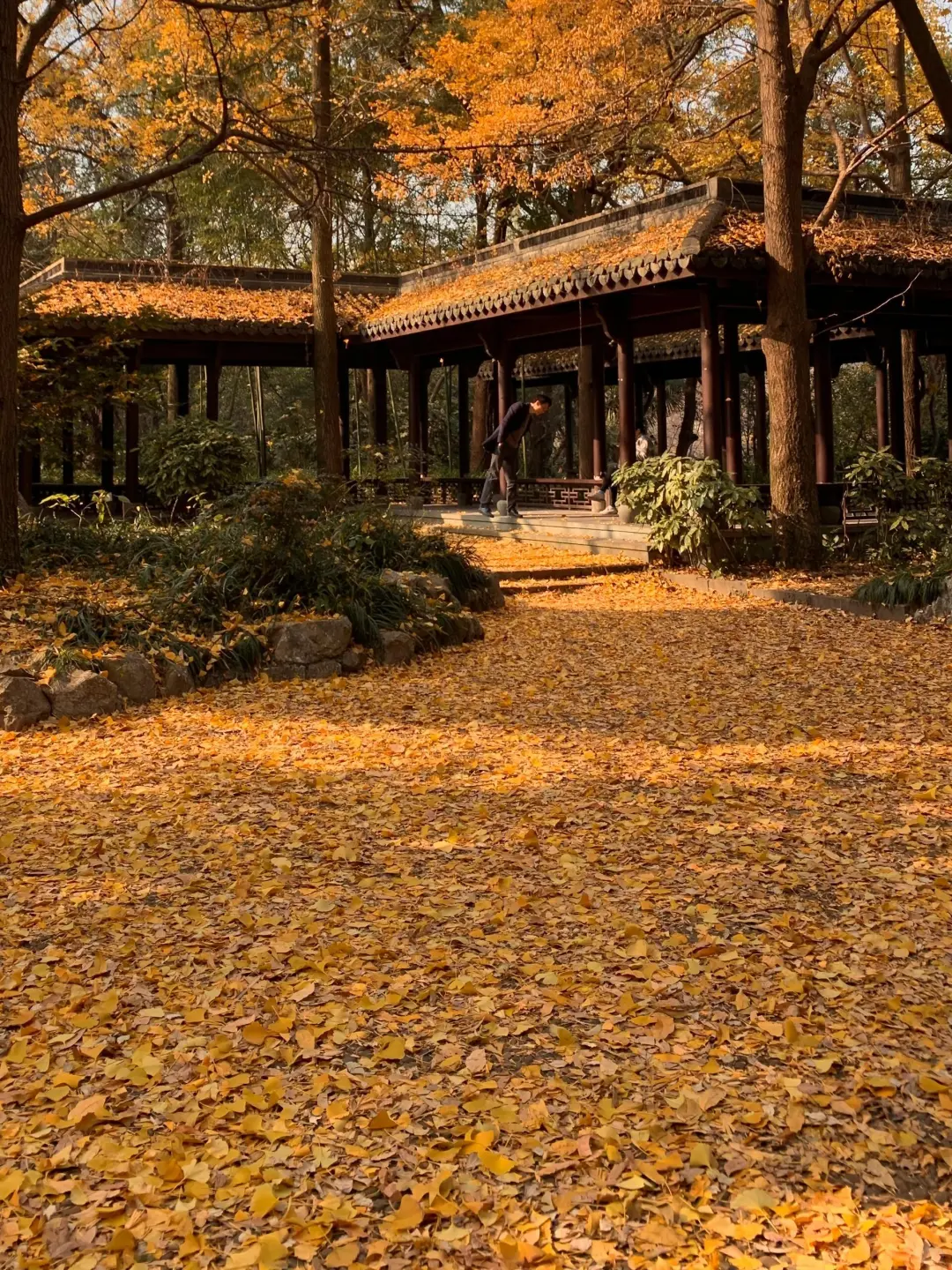 杭州行，总要吹一吹西湖那温柔的晚风吧～