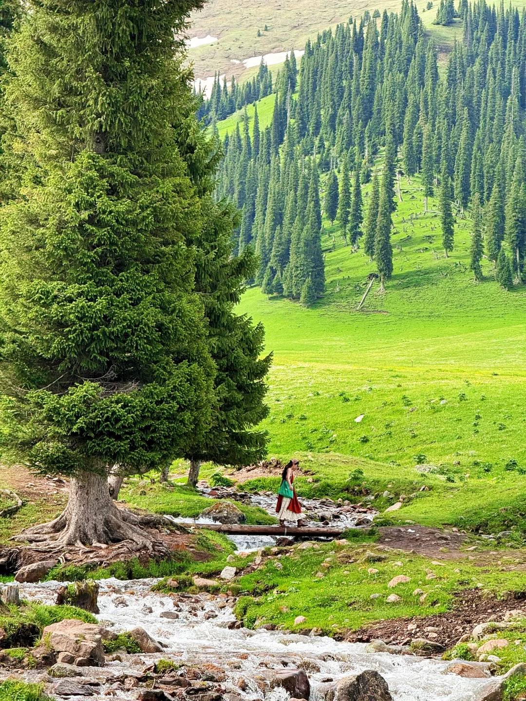 🌲 那拉提草原|童话世界の正确打开方式
