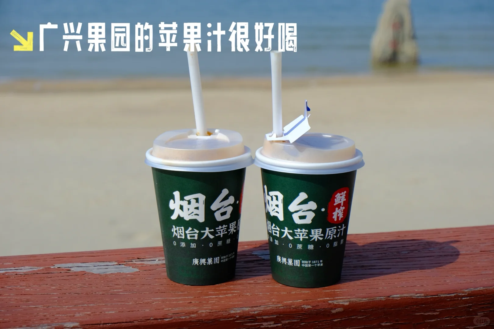 山东5天4晚｜青岛+烟台｜人均2.1k｜超详细攻略