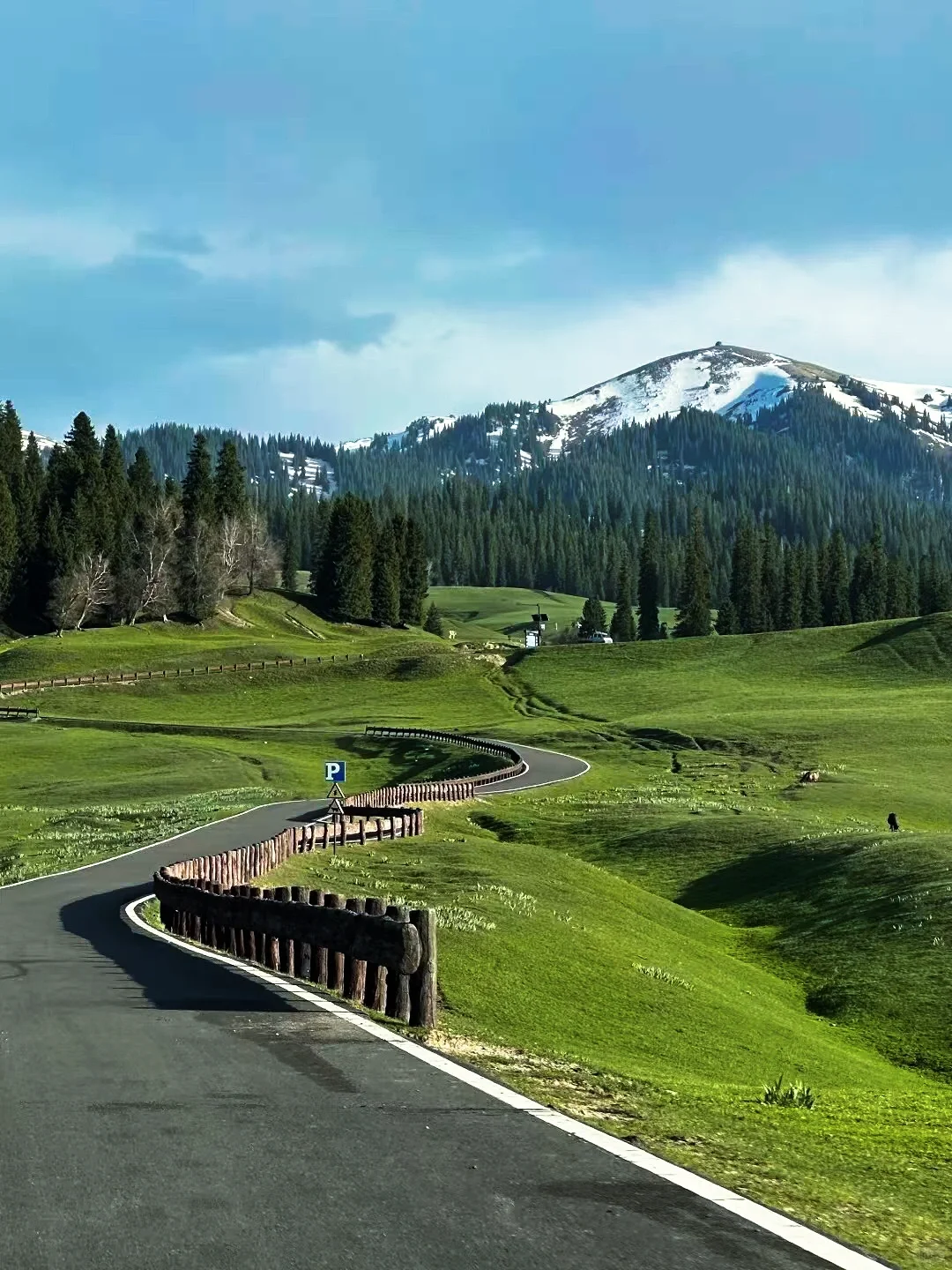 🌲 那拉提草原|童话世界の正确打开方式