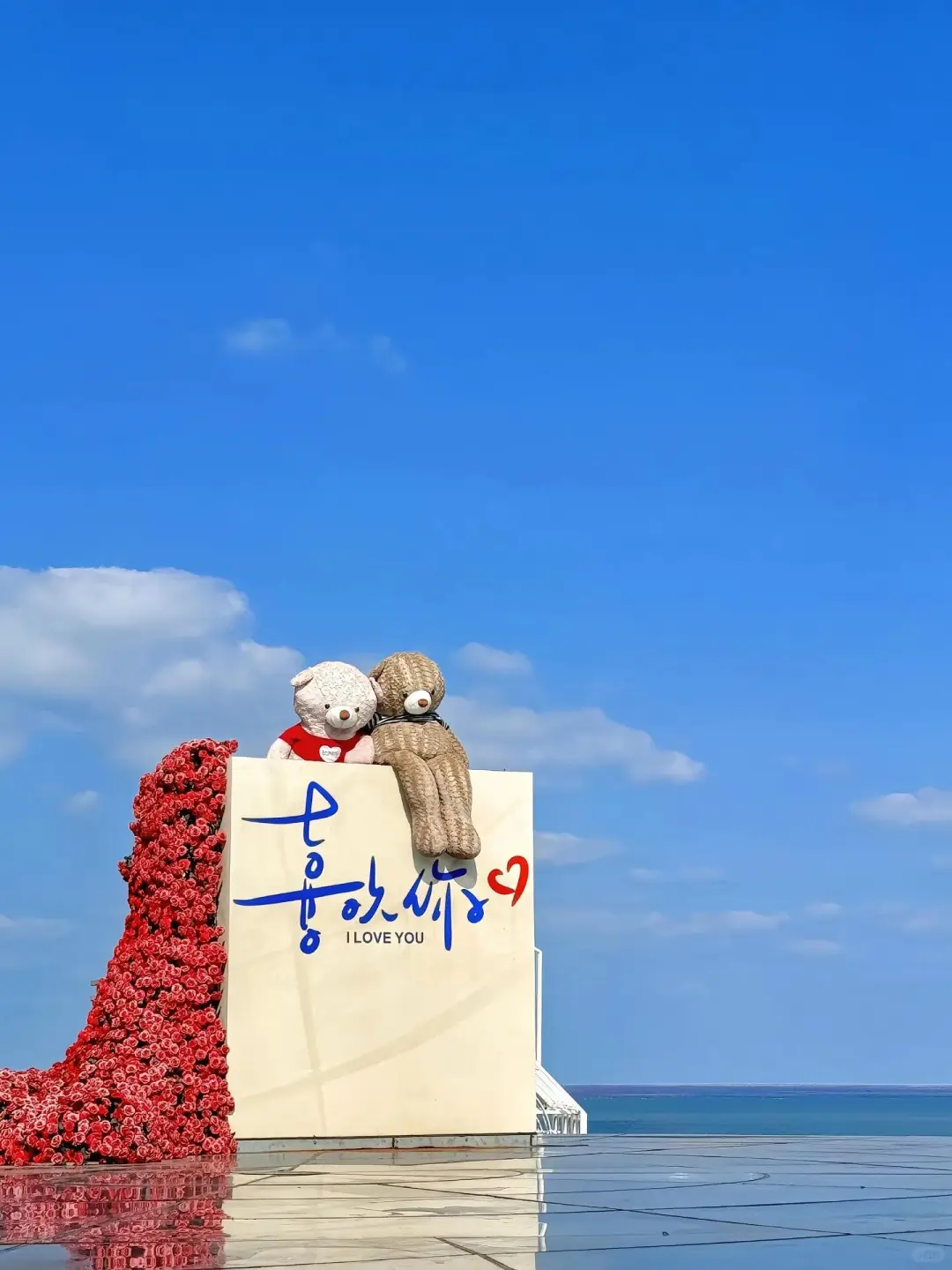 生态休闲港城，神奇浪漫之都🌹