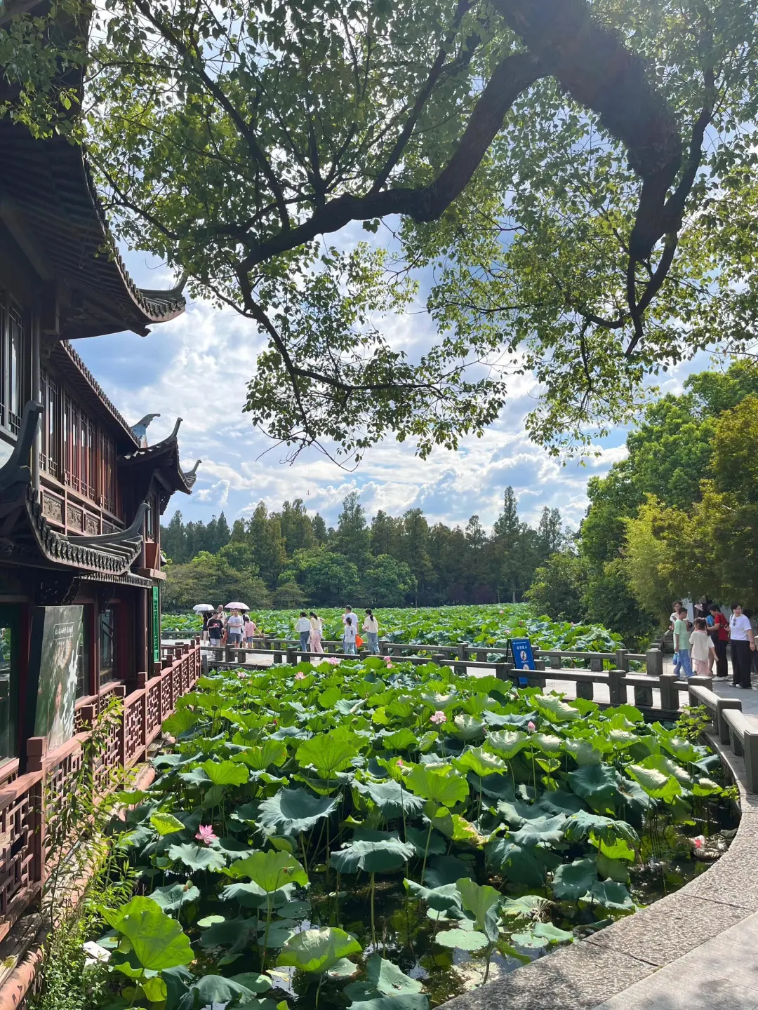 杭州行，总要吹一吹西湖那温柔的晚风吧～