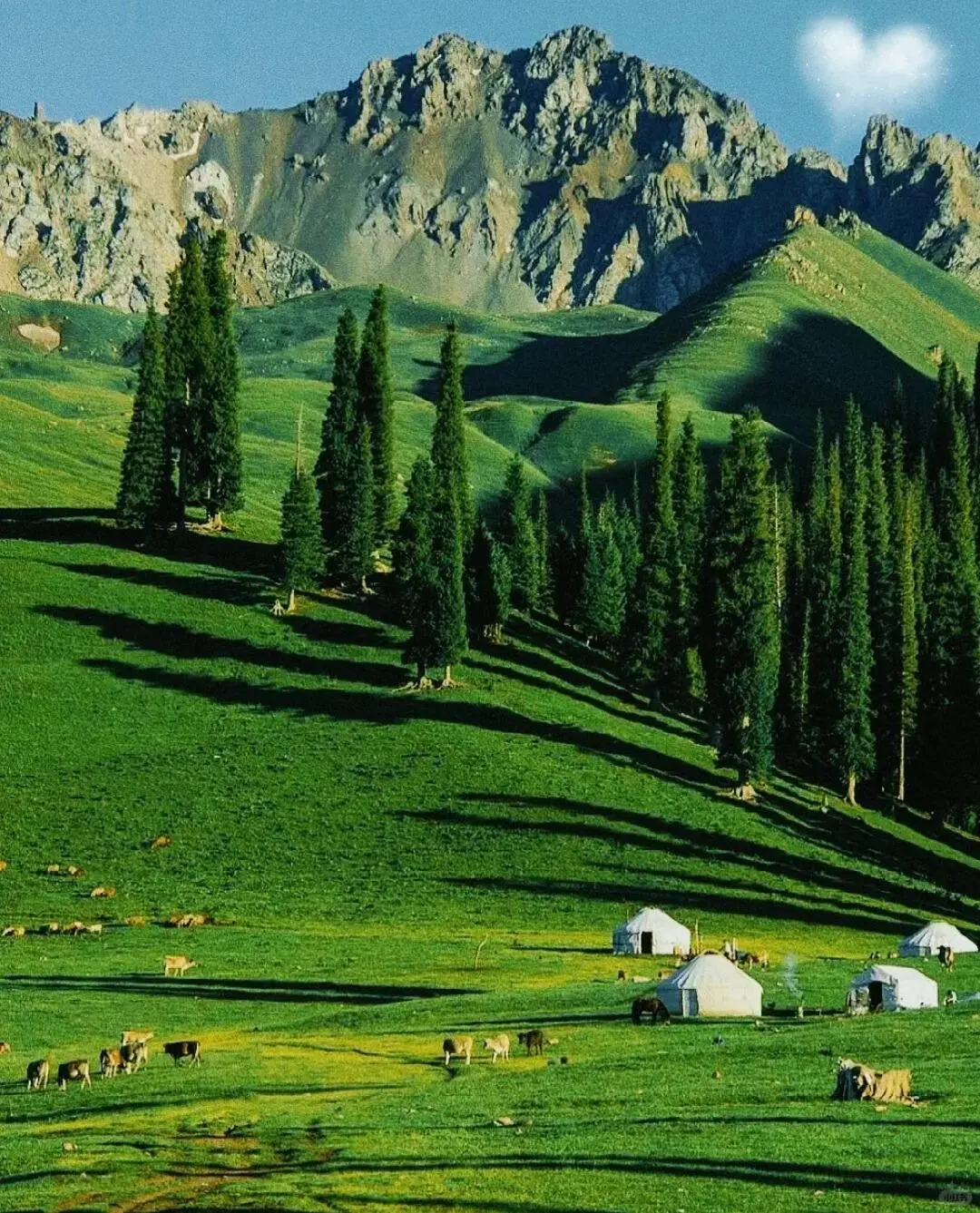 🌲 那拉提草原|童话世界の正确打开方式